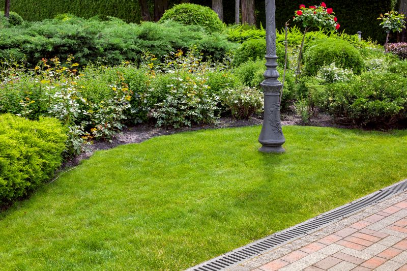 Landscape Drainage Enhancement